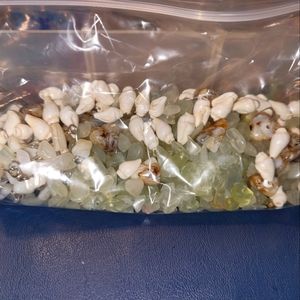 Shells & Natural Stone Beads